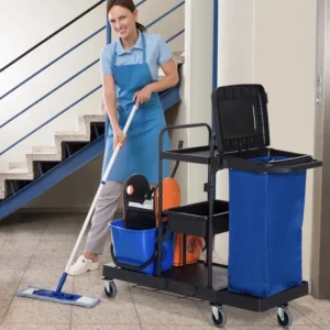 Количка за почистване homcom, Професионална, С 2 кофи