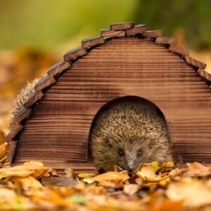 relaxdays Къщичка за таралежи, flamed, хотел за домашни любимци